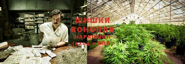 ALPHA PVP Гусиноозёрск