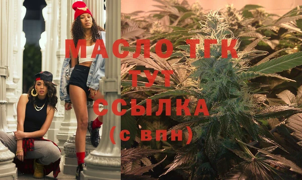 молекула духа Горнозаводск